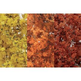 Feuillage fin couleur d'automne
