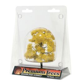 1 Buche  herbstfarben  10 cm