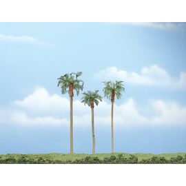 3 Königspalmen 11 5 cm  10 cm u. 7 5 cm
