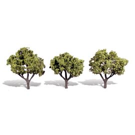 3-4 Early Light 3/Pk