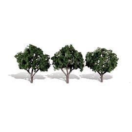 3-4 Cool Shade 3/Pk
