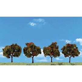 2-3 Apple Trees 4/Pk