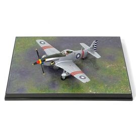 WW2 P-51D Mustang aircraft fighter