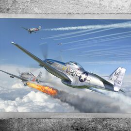 U.S. P-51D Mustang
