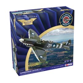 Supermarine Spitfire T.9 TE308 (G-AWGB) A58 'Grey Nurse' Sharkmouth