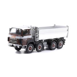 Berna D290 8x4 Kipper Wuthrich La Neuveville