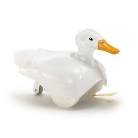 ARW10.70257-Walking and Swimming Duck