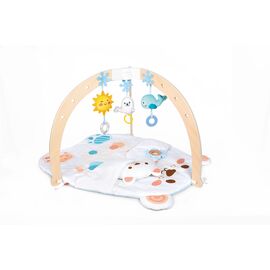 Snuggle Bear Gym d'activités