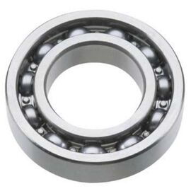 KUGELLAGER HINTEN 108FSR,120AX,FT160,FF - 46030008