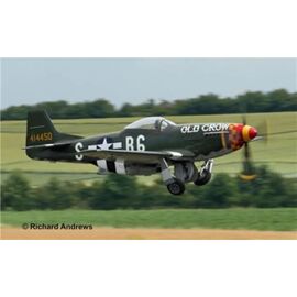 ARW90.03838-P-51D Mustang (late Version)