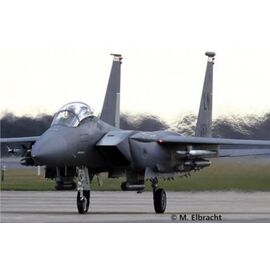 ARW90.03841-F-15E Strike Eagle