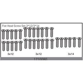 Flat Head Screw Set 3*12/3*14