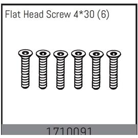Flat Head Screw 4*30 (6)
