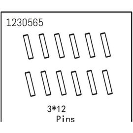 Pins 3*12 (12)