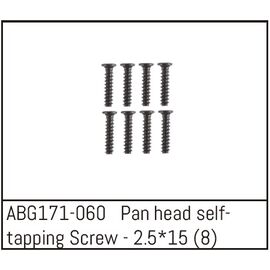 Pan Head Screw M2.5*15 (8)