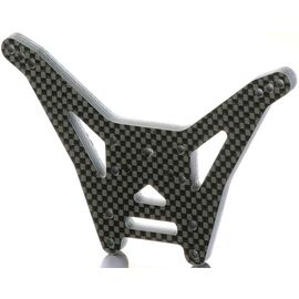 Carbon Dämpferbrücke hinten 2WD