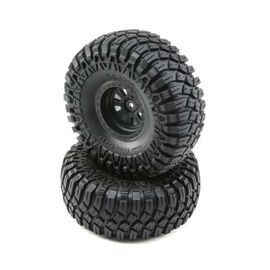 Pneus mont├®s Maxxis Creepy Crawler LT