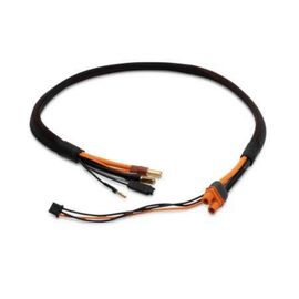Pro Series Race 2s Charge Cable: IC3/ 5mm 2'