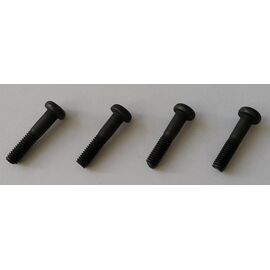 3x14mm Screws (4p)