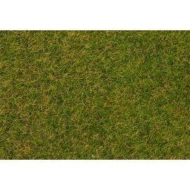 Fibres à saupoudrer Herbe sauvage Prairie d'été précoce 4 mm 1 kg