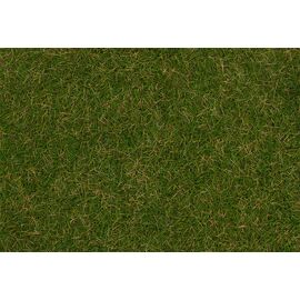 Fibres à saupoudrer Herbe sauvage Prairie d'été 4 mm 1 kg