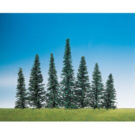 50 sapins nobles