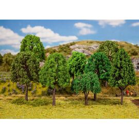 20 arbres de forêt mixte triés