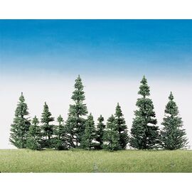40 sapins nobles