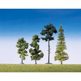15 arbres de forêt mixte triés