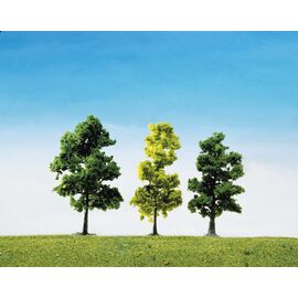 15 arbres de forêt mixte triés