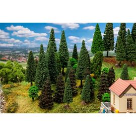 30 arbres de forêt mixte triés