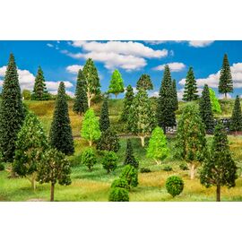 50 arbres de forêt mixte triés
