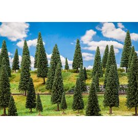50 sapins assortis
