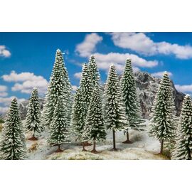 18 sapins d'hiver