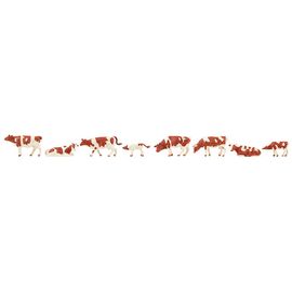 Vaches tachetées de brun