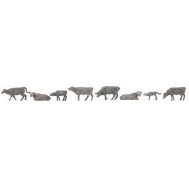 Vaches de montagne