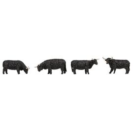 Bovins Highland noirs