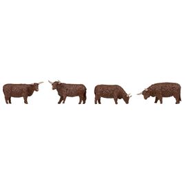 Bovins Highland bruns