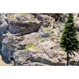 Mousse de roche et de terrain