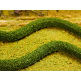 2 PREMIUM Haies ornementales/charmes