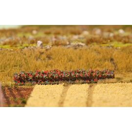 4 PREMIUM Haies Feuilles d'automne