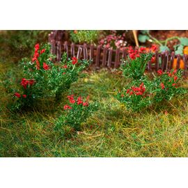 26 roses