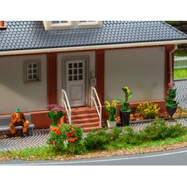 6 plantes en pot