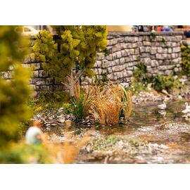26 Plantes de roseaux
