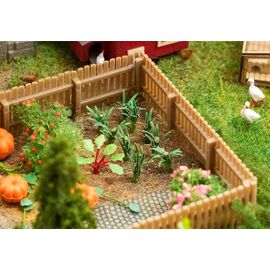 20 plants de poireaux