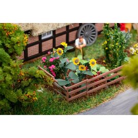 Fleurs dans le jardin de devant