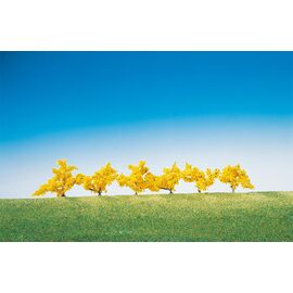 6 forsythias à fleurs jaunes