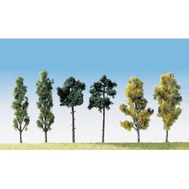 6 arbres assortis