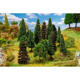 15 arbres de forêt mixte triés