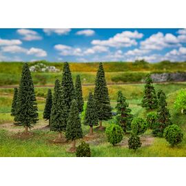 25 arbres de for&ecirc;t mixte petits assortis